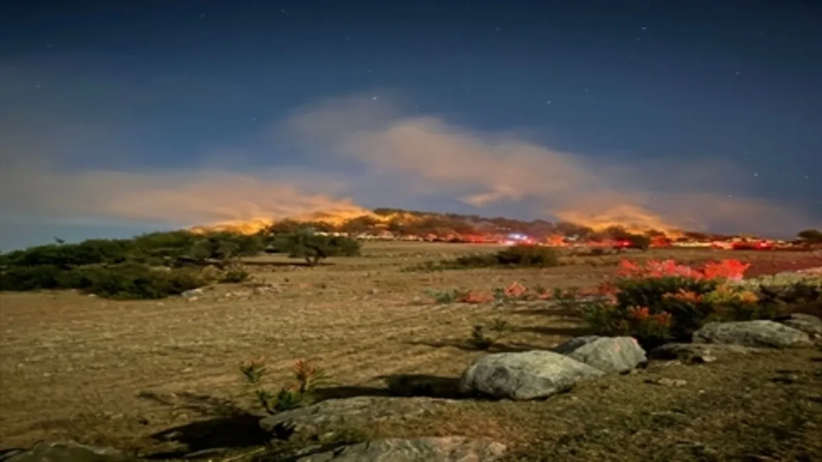 Adana Kozan'da orman yangını