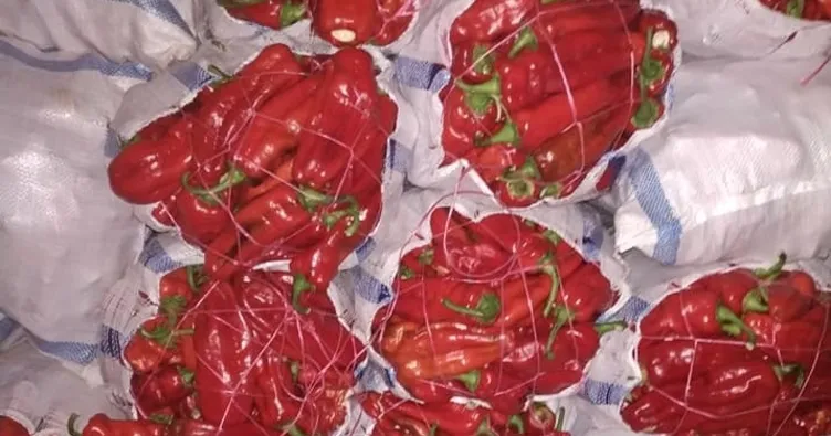 Urfa isotunun kendisi gibi fiyatı da acı