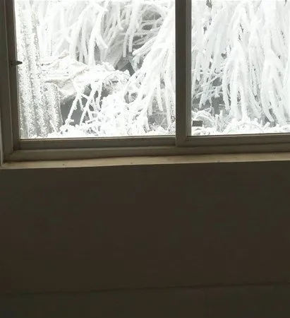 Çarpıcı fotoğraflar ve hikayeleri