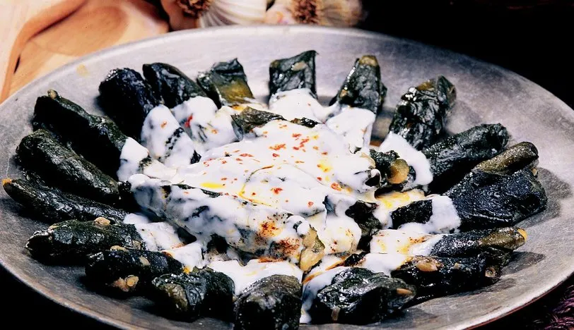 Hodan (kaldirik) Sarması
