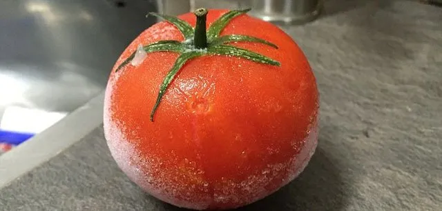 Donmuş domates çözününce ne olur?