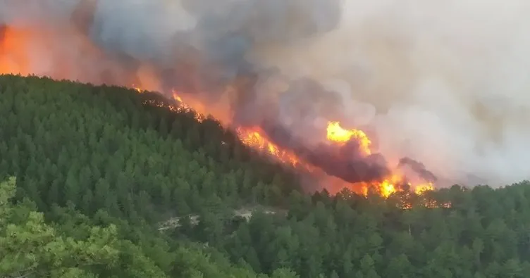 Son dakika: Manisa ve Kütahya’da orman yangını! Ekiplerin müdahalesi sürüyor