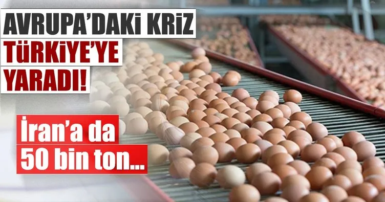 Avrupa’daki yumurta krizi Türkiye’ye yaradı!