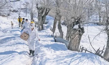 Karlı dağları aşıp da geldik