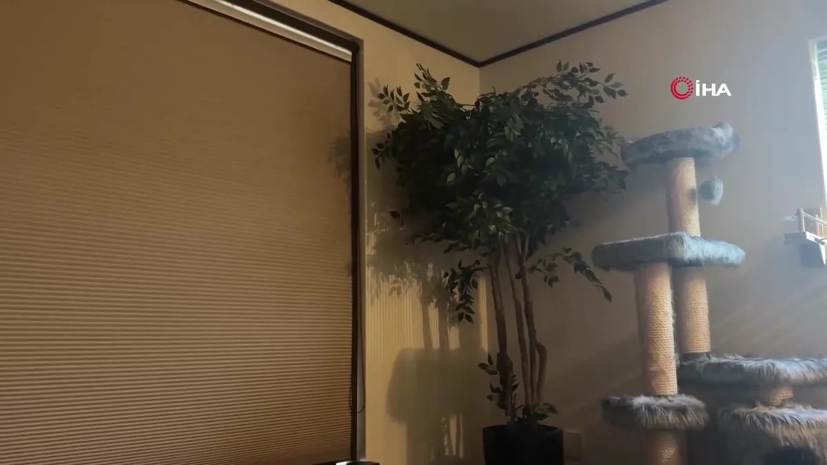 Japonya’da 6.2 büyüklüğündeki deprem anı kamerada | Video videosunu izle Japonya’da 6.2 büyüklüğündeki deprem anı kamerada | Video videosunu izle