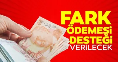 Fark ödemesi desteği verilecek! Bakanlık detayları açıkladı