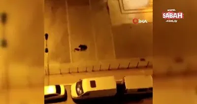 Köpeğe eğitmek için vurmuş! HAYDİ polisi cezayı kesti | Video