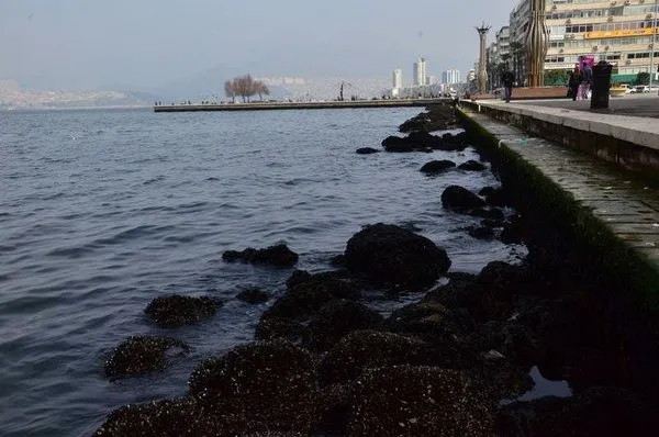 İzmir'de korkutan çekilme