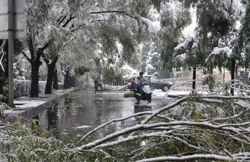 Çin'de hayat felç
