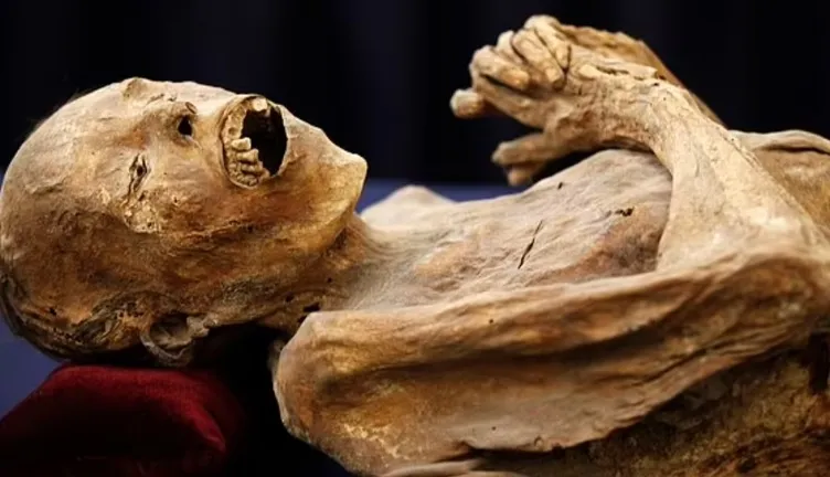 İstenmeyen mumya! Hareket eden cesedi gören yetkililer apar topar telefona sarıldı