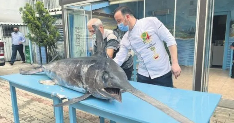 Saros’ta 88 kg’lık kılıç balığı yakalandı