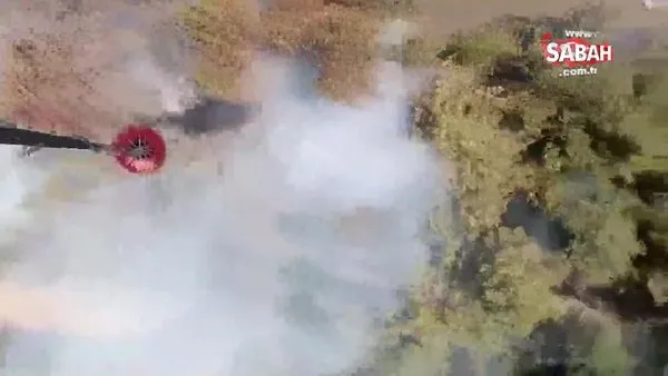 Son Dakika: Muğla'da orman yangını: Ekipler müdahale ediyor! | Video