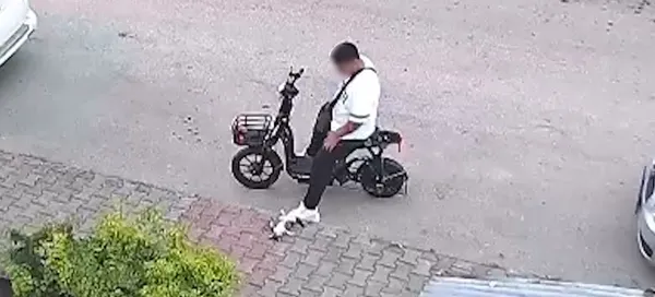 1785846013435.jpg