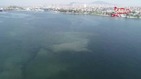 İstanbul sahillerinde korkutan görüntü! Müsilaj geri mi dönüyor? | Video