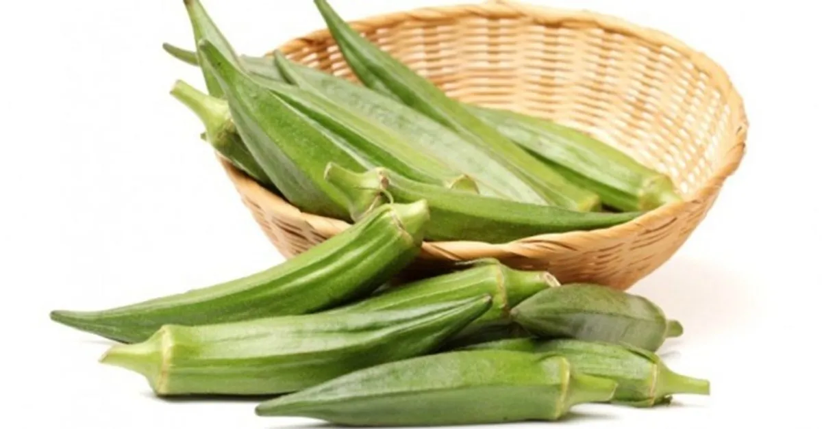 bamyanin faydalari nelerdir bamya bagirsaklara cilde kan sekerine iyi gelir mi saglik haberleri