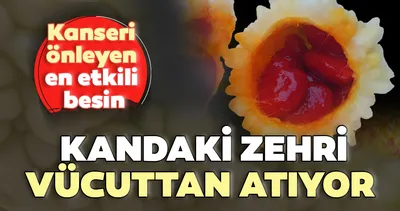 Kandaki zehri atan ilaç gibi besin...