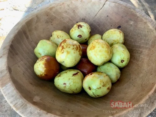 Anadolu’nun gizli hazinesi: Hünnap