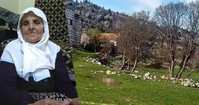 3 köpeğin saldırdığı kadın öldü! Antalya’da kan donduran görüntü!