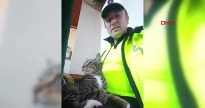 Peşindeki köpeklerden polis aracına girerek kurtulan kedi kamerada
