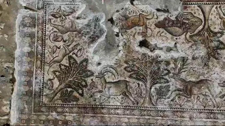 Sadece 50 cm kazdı hayatının şokunu yaşadı! Kiraz dikerken hazine buldu: 1700 yıldır oradaymış...