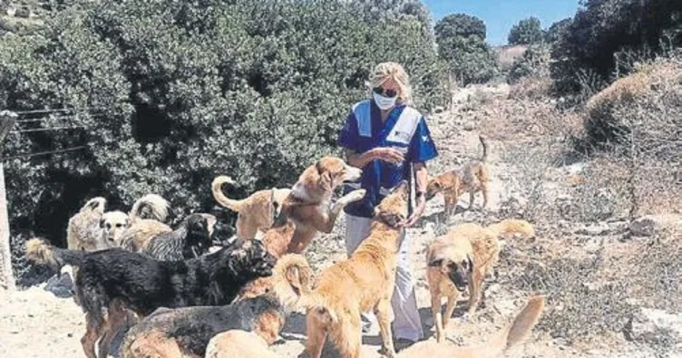 Haytap’tan iş insanlarına çağrı