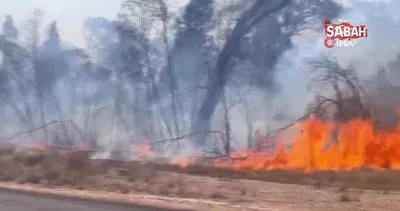 Avusturalya’da orman yangını: 2 ölü | Video