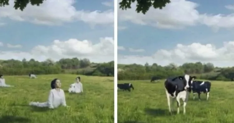 Güney Koreli süt firmasından skandal reklam! Kadınları inek olarak gösterdiler