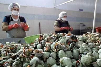 15 milyon dolar kazandırıyor