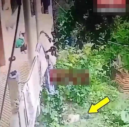 Ordu’da babaanne 2 yaşındaki torununu balkondan attı: İşte kan donduran anlar!