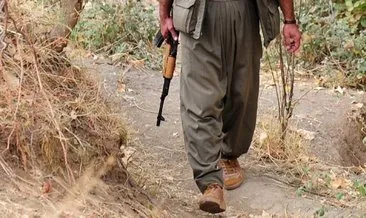 Jandarma Er Yatkın’ı şehit eden PKK’lı teröristler öldürüldü