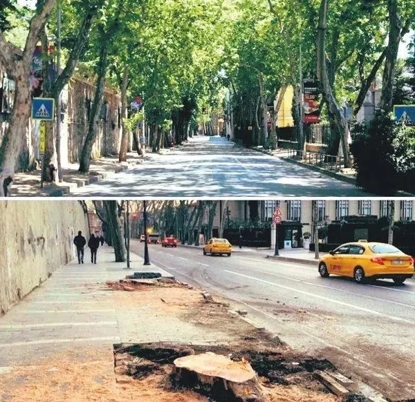ibbnin-agac-katliamina-sert-tepki-kaz-daglarindakiler-agac-da-ciragandakiler-agac-degil-mi-1647413792622.jpeg İBB'nin ağaç katliamına sert tepki: Kaz Dağları'ndakiler ağaç da Çırağan'dakiler ağaç değil mi?