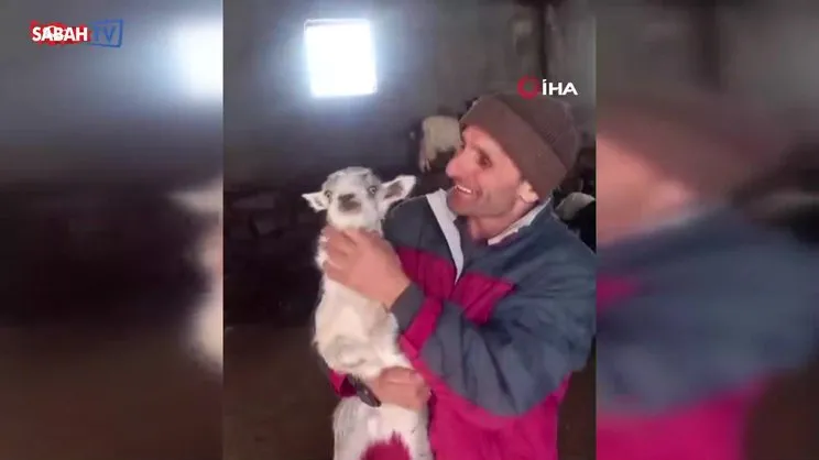 Erzurumlu fenomen çobanın kuzu sevgisi | Video