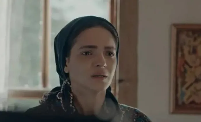 Kirmizi Oda Firuzan Kimdir Kirmizi Oda Firuzan In Sasirtan Hikayesi Son Dakika Spor Haberleri