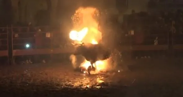 Böyle bir vahÅet görülmedi... Diri diri yaktılar...