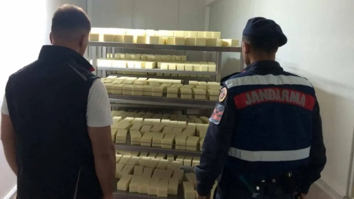 Piyasaya sürülecekti! 5 ton tarihi geçmiş kaşar ele geçirildi