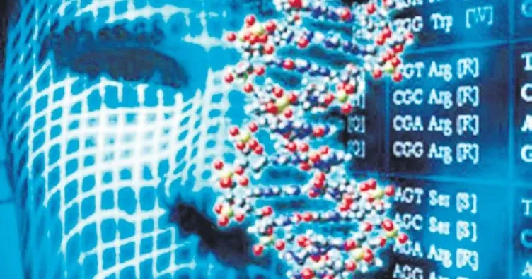 İnsanlığın ilk gen haritası tamamlandı