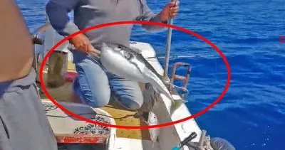Son Dakika Haberi: Antalya’da balon balığı dehşeti: 1 ölü | Video