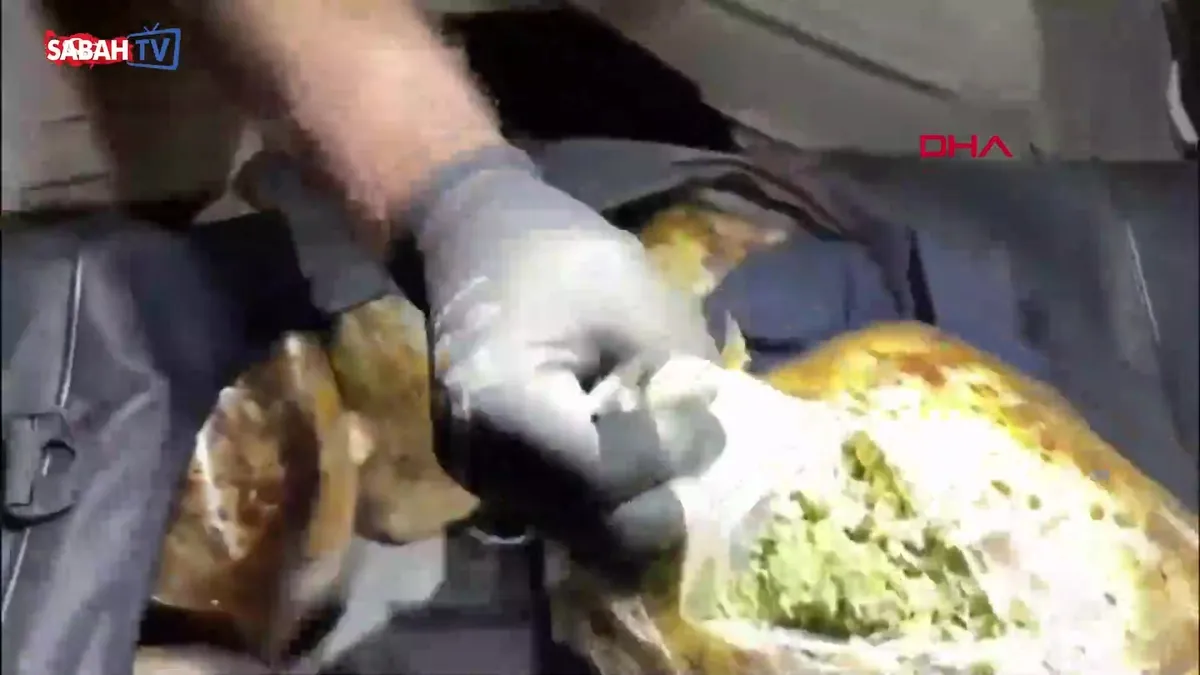 Yolcu otobüsünde 39 kilo 700 gram skunk ele geçirildi; 1 gözaltı | Video