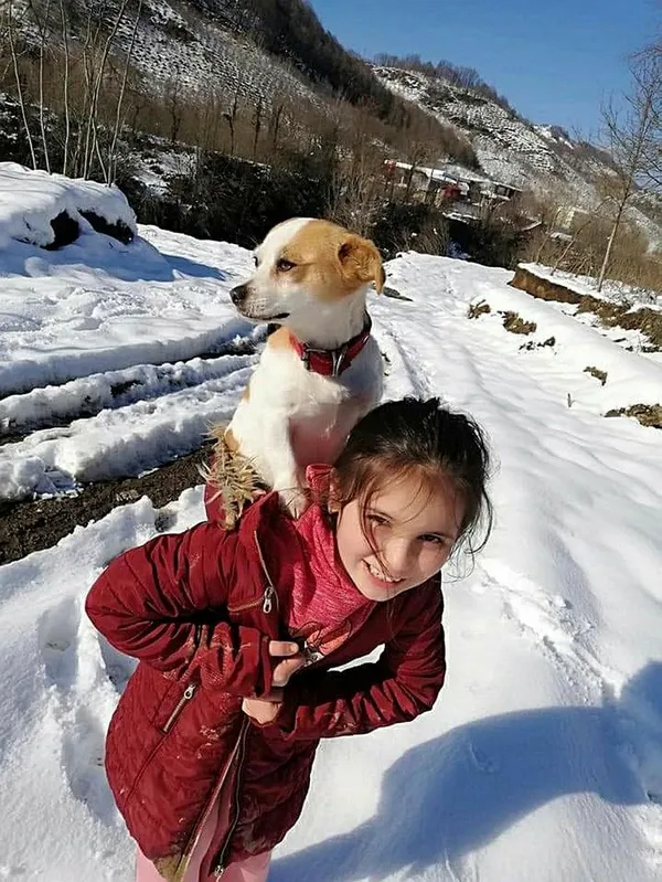 Ordu’da 10 yaşındaki Cemre köpeği Pamuk’u sırtında veterinere götürdü - 1