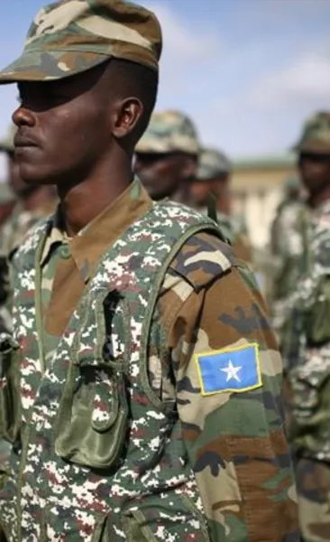 Somali’den geniş çaplı terör operasyonu