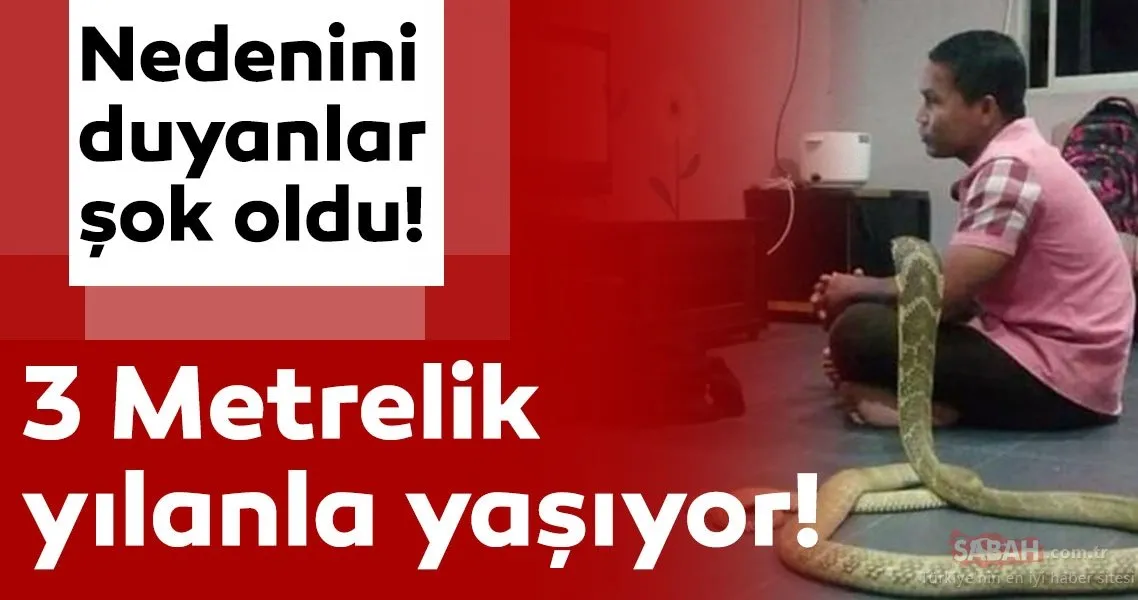 3 metrelik kobra yilaniyla evlenen