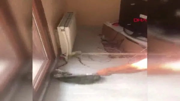 İstanbul Avcılar'da yılan paniği! Eve giren yılanı itfaiye eri böyle yakaladı