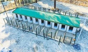 Örnek barınaklar #ordu