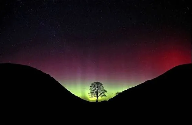 Doğa fenomeni kuzey ışıkları