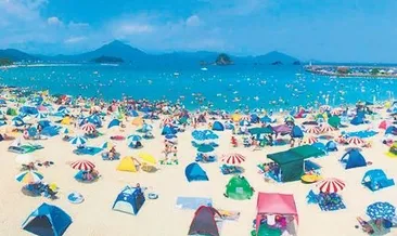 Japonya’da ‘öfkeli yunus’ paniği