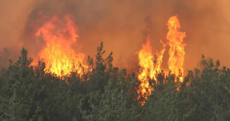 Gelibolu’da çıkan orman yangınında bir köy boşaltıldı
