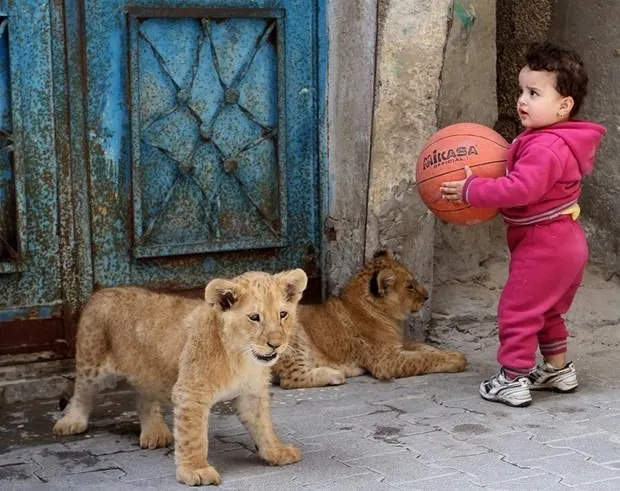 Gazzeli adamın aslan sevgisi