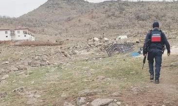 Ailelerin köpek kavgası 3 can aldı #diyarbakir
