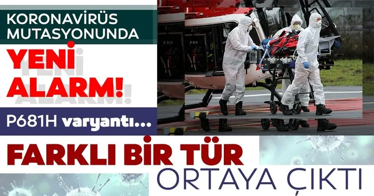 Son dakika haberler:  P681H alarmı! O ülkede corona virüs mutasyonunda farklı bir tür daha ortaya çıktı