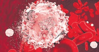 Hücreyi kanserle savaşa programladılar